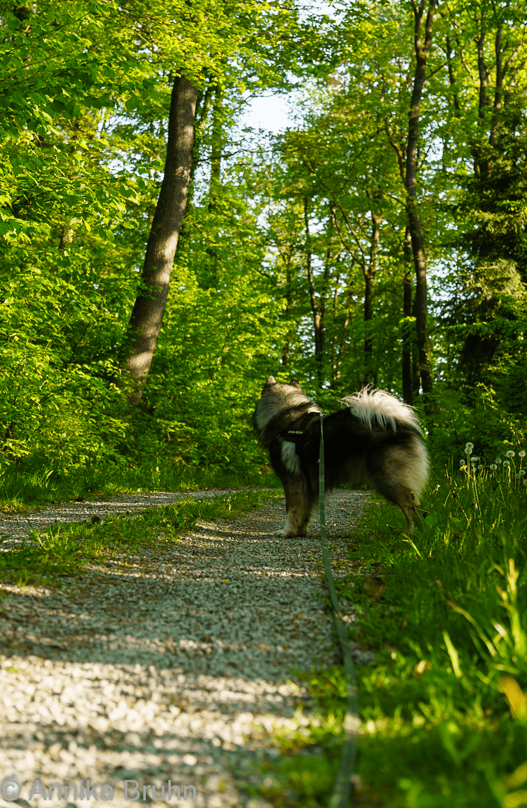 Ich glaube, wir müssen da lang!